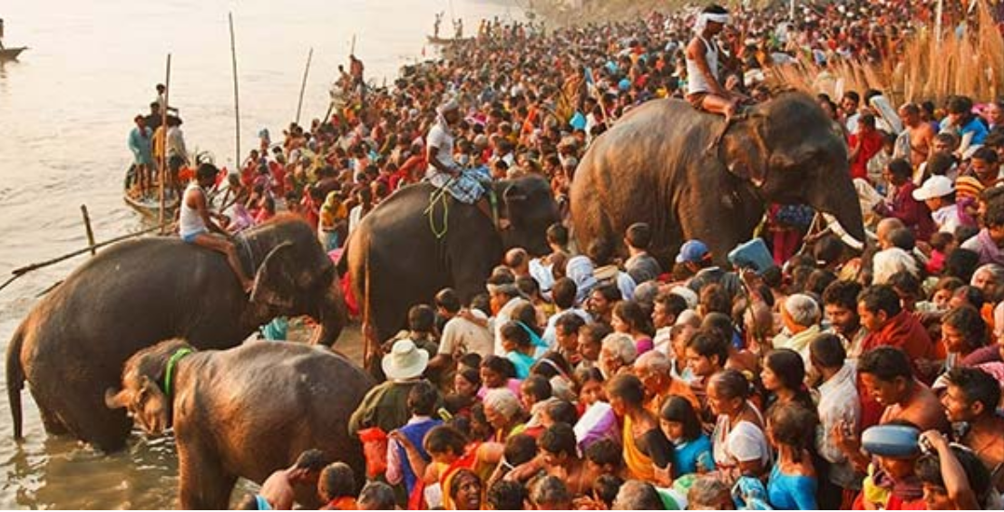 Sonepur Mela